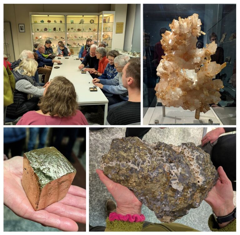 „Hallo Nachbar!“ – Besuch des Mineralogischen Museums